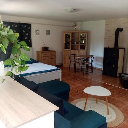 Apartman Ivana Daire Rumburk Dış mekan fotoğraf